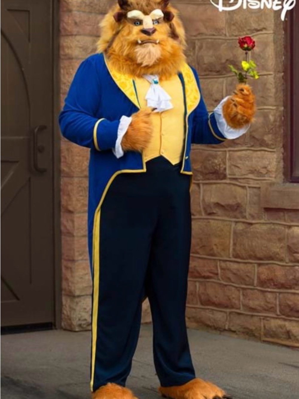 Disney Beast Blue and Gold Men’s Costume - Classic Tale-Inspired Outfit